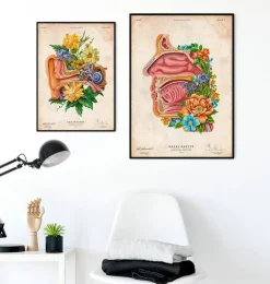Cavité nasale - Floral - Vintage-Codex Anatomicus Hot