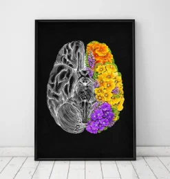 Cerveau anatomique avec fleurs-Codex Anatomicus Sale