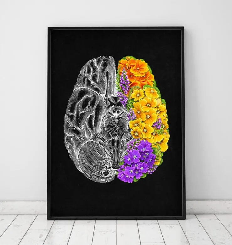 Cerveau anatomique avec fleurs-Codex Anatomicus Sale
