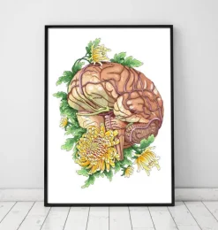 Cerveau avec des fleurs-Codex Anatomicus Best