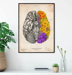 Cerveau avec des fleurs - Vieux papiers-Codex Anatomicus Outlet