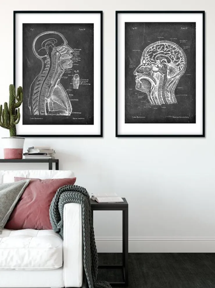 Cerveau et moelle épinière - Chalkboard-Codex Anatomicus Discount