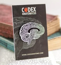 Cerveau sur tableau noir - Pins-Codex Anatomicus Discount
