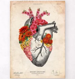 Coeur anatomique avec fleurs II - Vieux papier-Codex Anatomicus Discount
