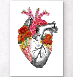 Coeur anatomique avec fleurs II - Blanc-Codex Anatomicus Online