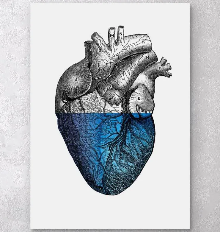Coeur coloré - Bleu-Codex Anatomicus Outlet