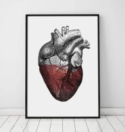 Coeur coloré - Rouge-Codex Anatomicus Sale