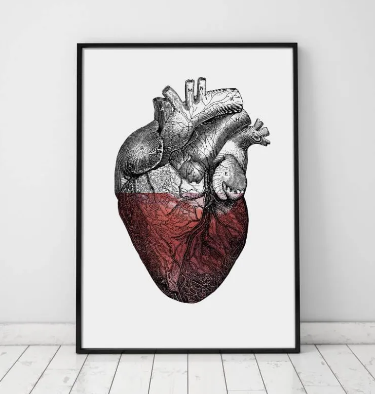 Coeur coloré - Rouge-Codex Anatomicus Sale
