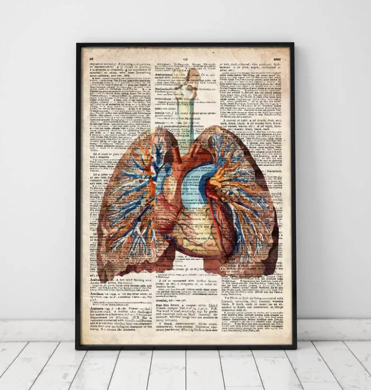 Coeur et poumons géométriques - Dictionnaire-Codex Anatomicus Clearance