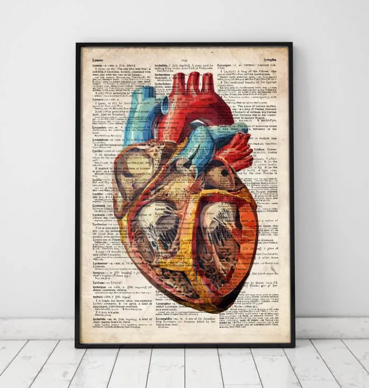 Coeur géométrique - Dictionnaire-Codex Anatomicus Clearance