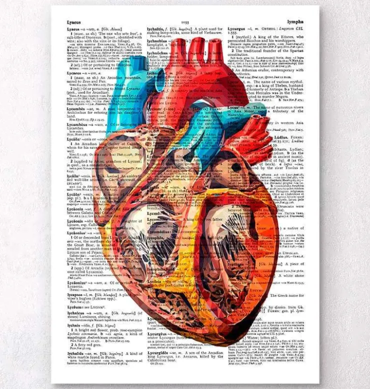 Coeur géométrique - Page du dictionnaire-Codex Anatomicus Online