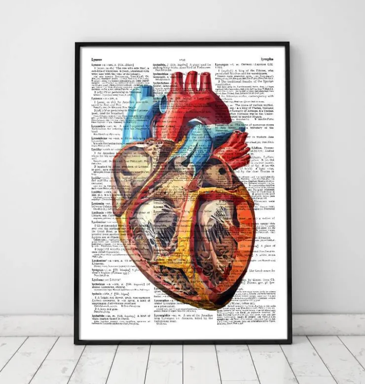 Coeur géométrique - Page du dictionnaire-Codex Anatomicus Online