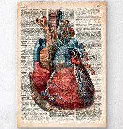 Coeur géométrique II - Dictionnaire-Codex Anatomicus Discount