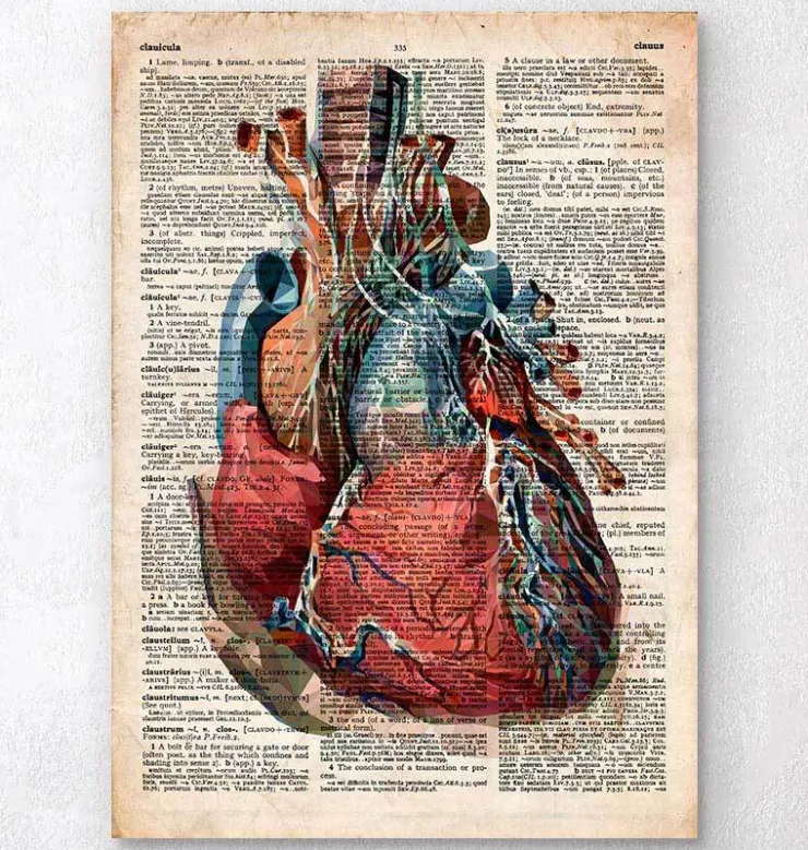 Coeur géométrique II - Dictionnaire-Codex Anatomicus Discount