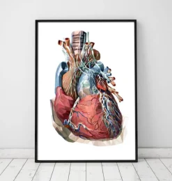 Coeur géométrique III-Codex Anatomicus Hot