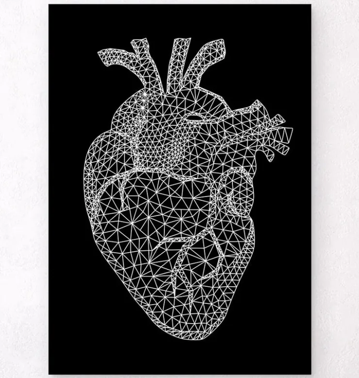 Coeur géométrique minimal - Noir-Codex Anatomicus Online