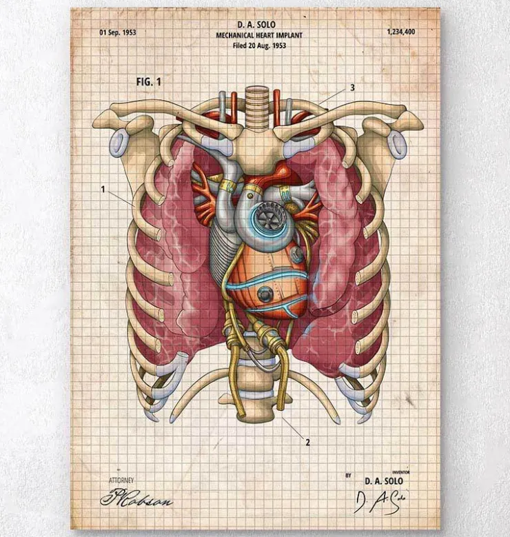 Coeur mécanique II-Codex Anatomicus