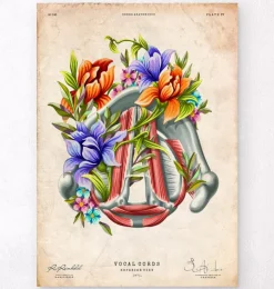 Cordes vocales - Floral - Vintage-Codex Anatomicus New
