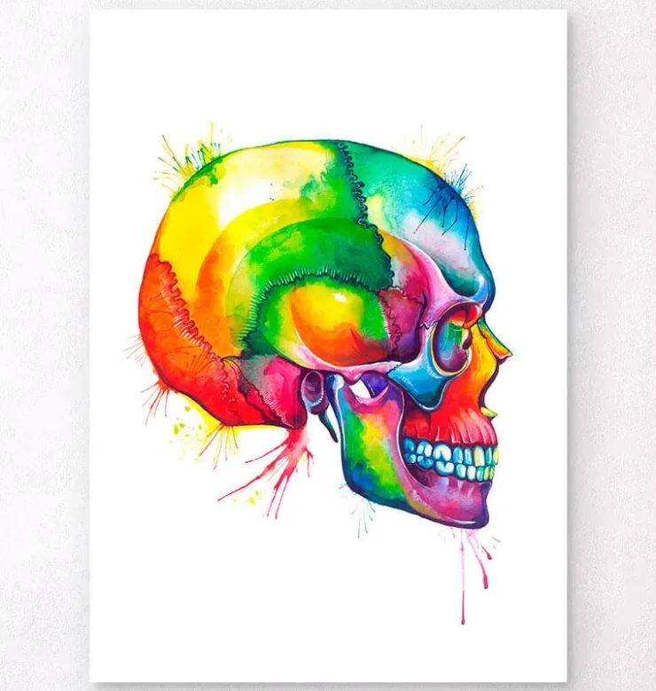 Crâne - Aquarelle-Codex Anatomicus