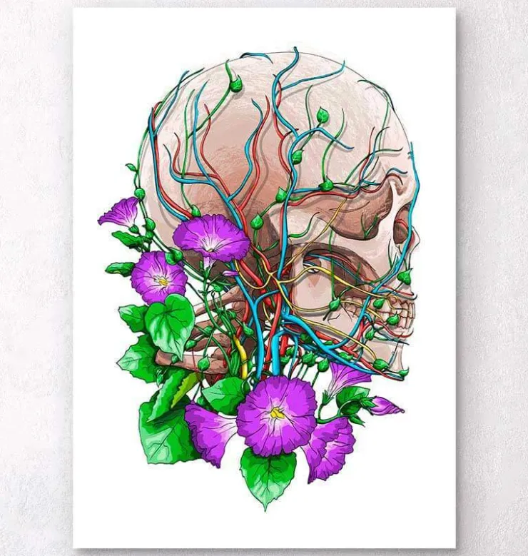 Crâne avec des fleurs-Codex Anatomicus Discount