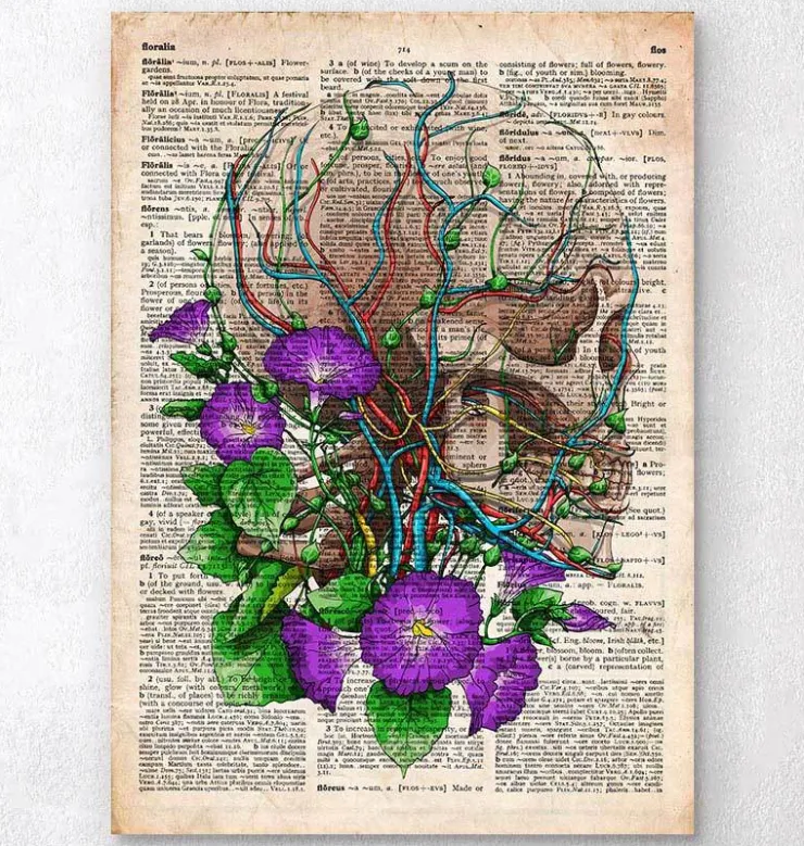 Crâne avec des fleurs - Dictionnaire-Codex Anatomicus Outlet