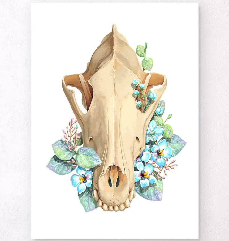 Crâne de chien - Floral - Blanc-Codex Anatomicus Online