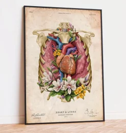 Cœur, poumons et cage thoracique - Vieux papiers-Codex Anatomicus Discount