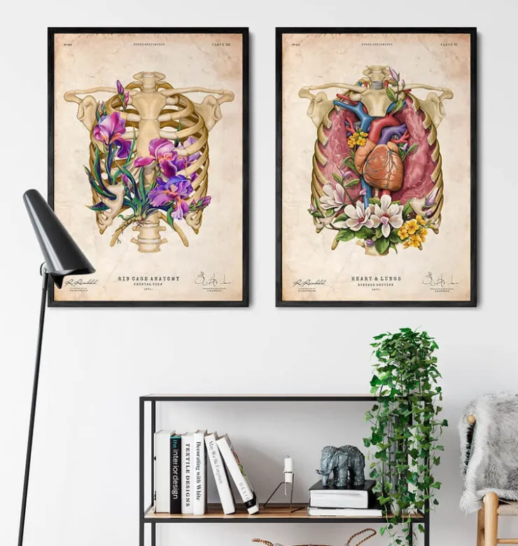 Cœur, poumons et cage thoracique - Vieux papiers-Codex Anatomicus Discount