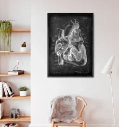 Dissected heart anatomy II - Chalkboard-Codex Anatomicus Clearance