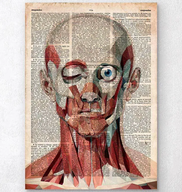 Face géométrique - Dictionnaire-Codex Anatomicus New
