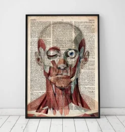 Face géométrique - Dictionnaire-Codex Anatomicus New