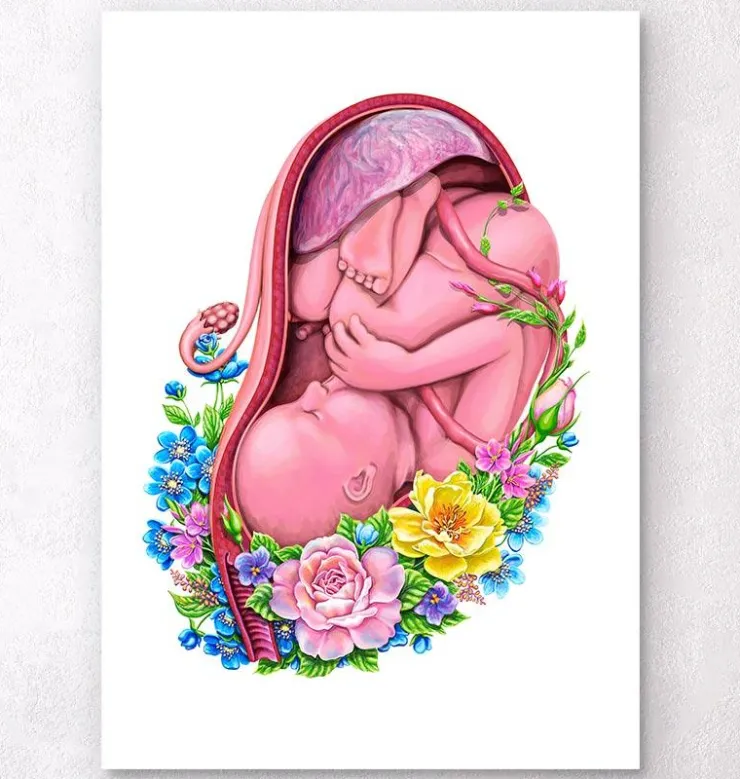 Foetus in a utérus - Floral - Blanc-Codex Anatomicus