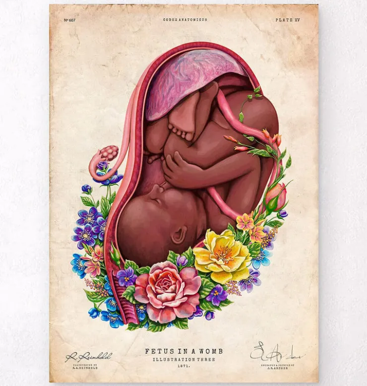 Foetus in a utérus - Floral - Blanc-Codex Anatomicus Best
