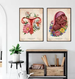 Foetus in a utérus - Floral - Blanc-Codex Anatomicus Best
