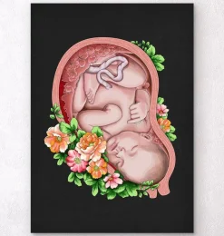 Foetus in a utérus II - Noir-Codex Anatomicus Hot