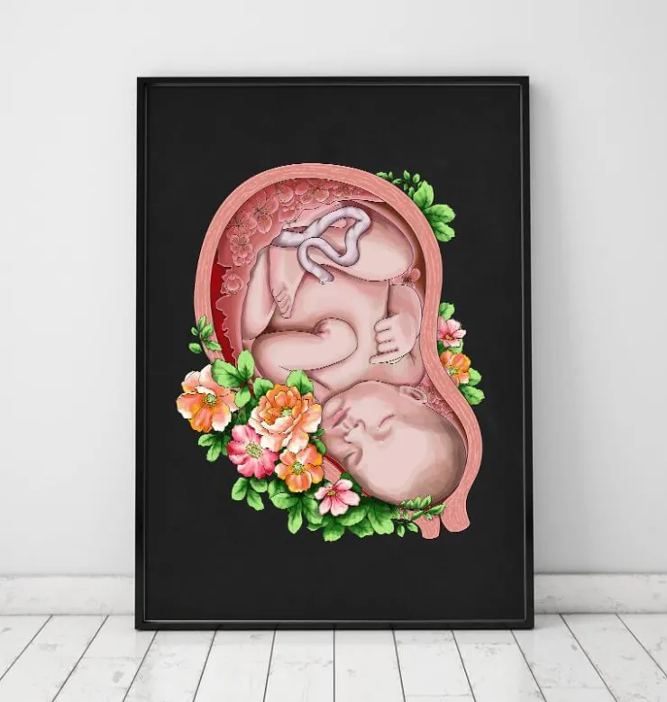 Foetus in a utérus II - Noir-Codex Anatomicus Hot