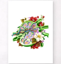 Ganglion lymphatique - Floral - Blanc-Codex Anatomicus Hot