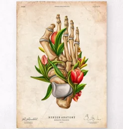 Hallux valgus - Floral - Vintage-Codex Anatomicus Clearance