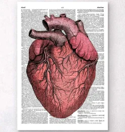 Heart anatomy II - Page du dictionnaire-Codex Anatomicus Best