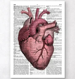 Heart anatomy III - Page du dictionnaire-Codex Anatomicus Best