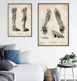 Impression d'anatomie de la main humaine III-Codex Anatomicus Outlet