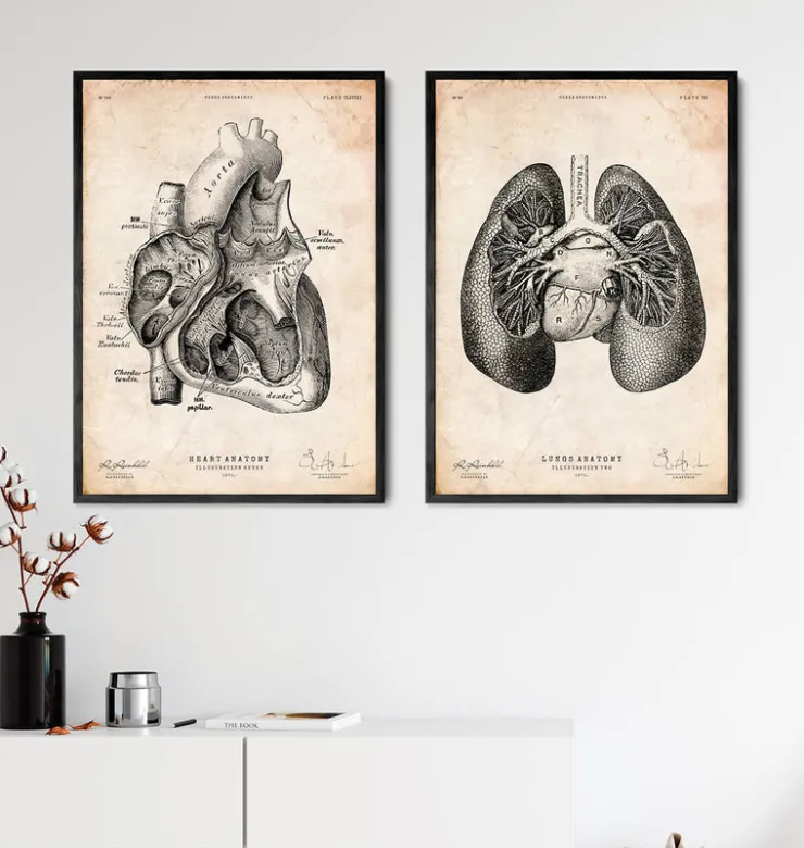 Impression d'anatomie pulmonaire II-Codex Anatomicus Discount