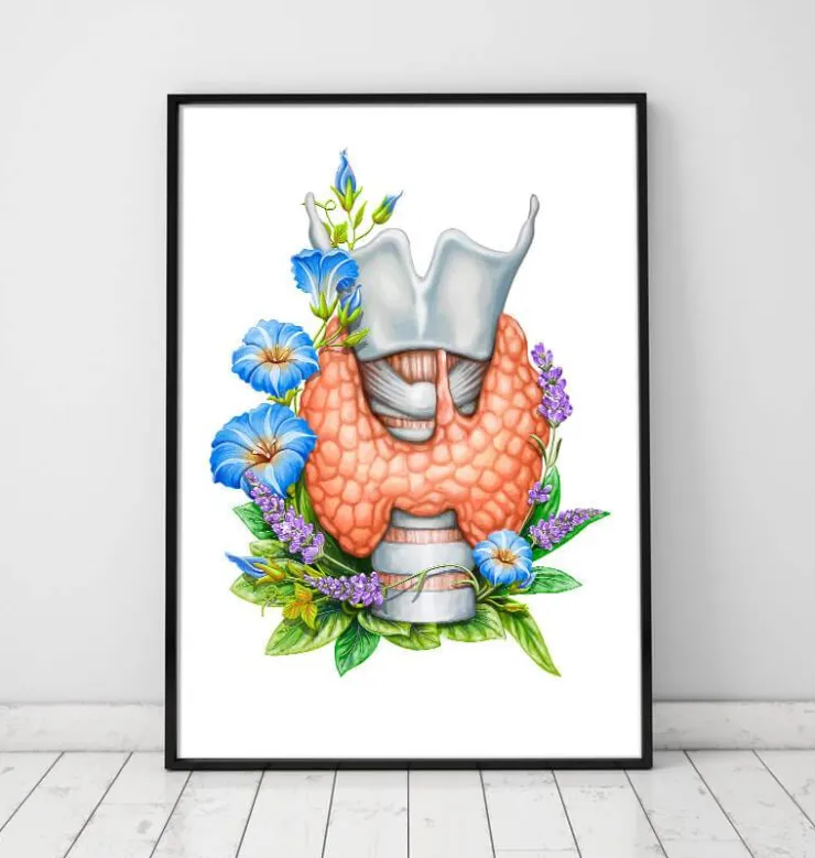 Larynx, thyroïde et aorte - Aquarelle - Blanc-Codex Anatomicus Discount