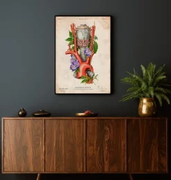 Larynx, thyroïde et aorte - Vieux papiers-Codex Anatomicus Online