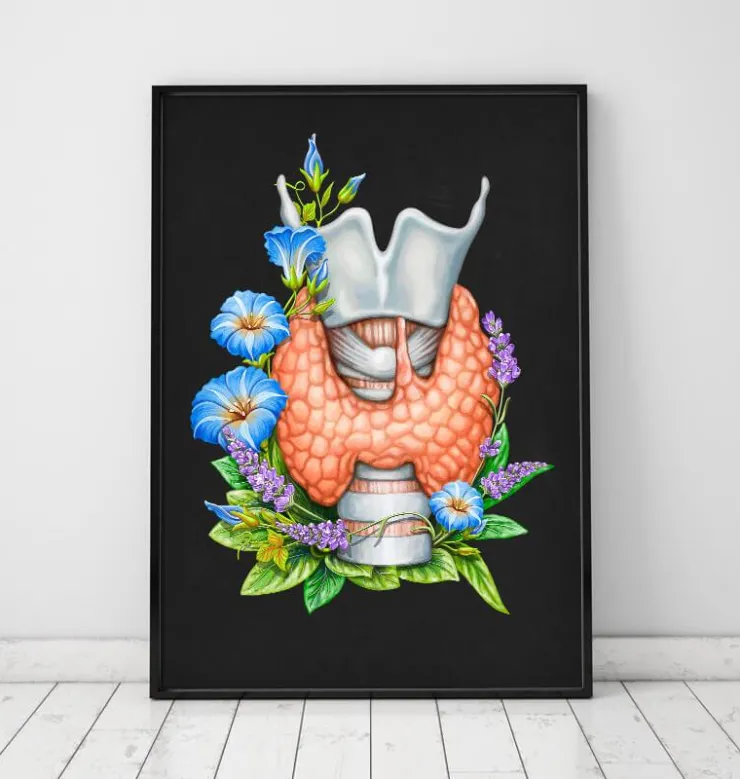 Larynx, thyroïde et aorte - Aquarelle - Blanc-Codex Anatomicus Outlet