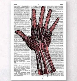 Main - page Dictionnaire-Codex Anatomicus Outlet