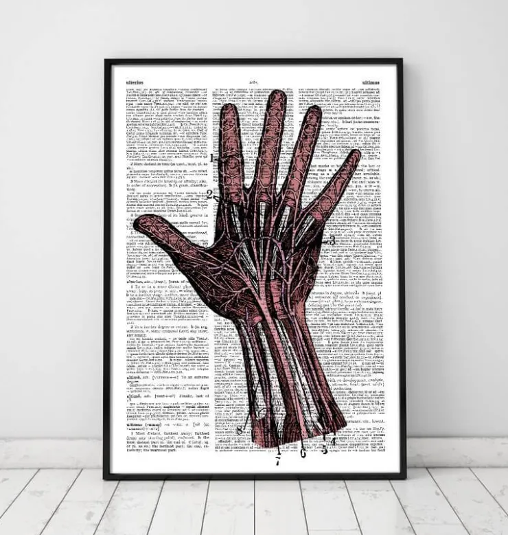 Main - page Dictionnaire-Codex Anatomicus Outlet