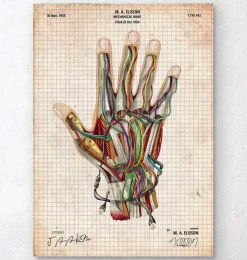 Main mécanique-Codex Anatomicus Outlet