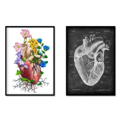 Mix d'anatomie cardiaque - Lot de 5-Codex Anatomicus Sale