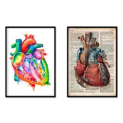 Mix d'anatomie cardiaque - Lot de 5-Codex Anatomicus Sale